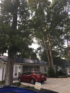 Solar City No Good For Florida